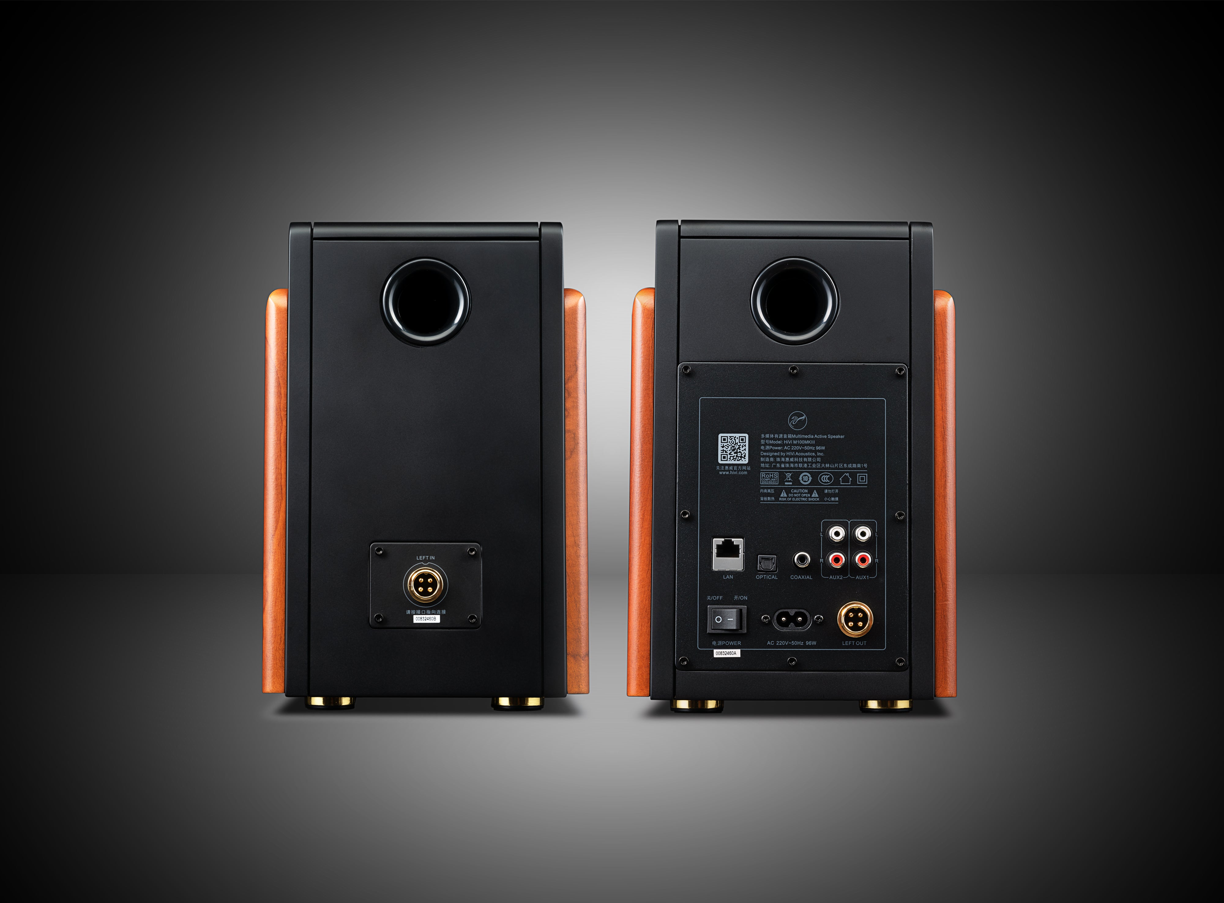 Hivi M100 Active Bluetooth Wi-Fi Bookshelf Speakers