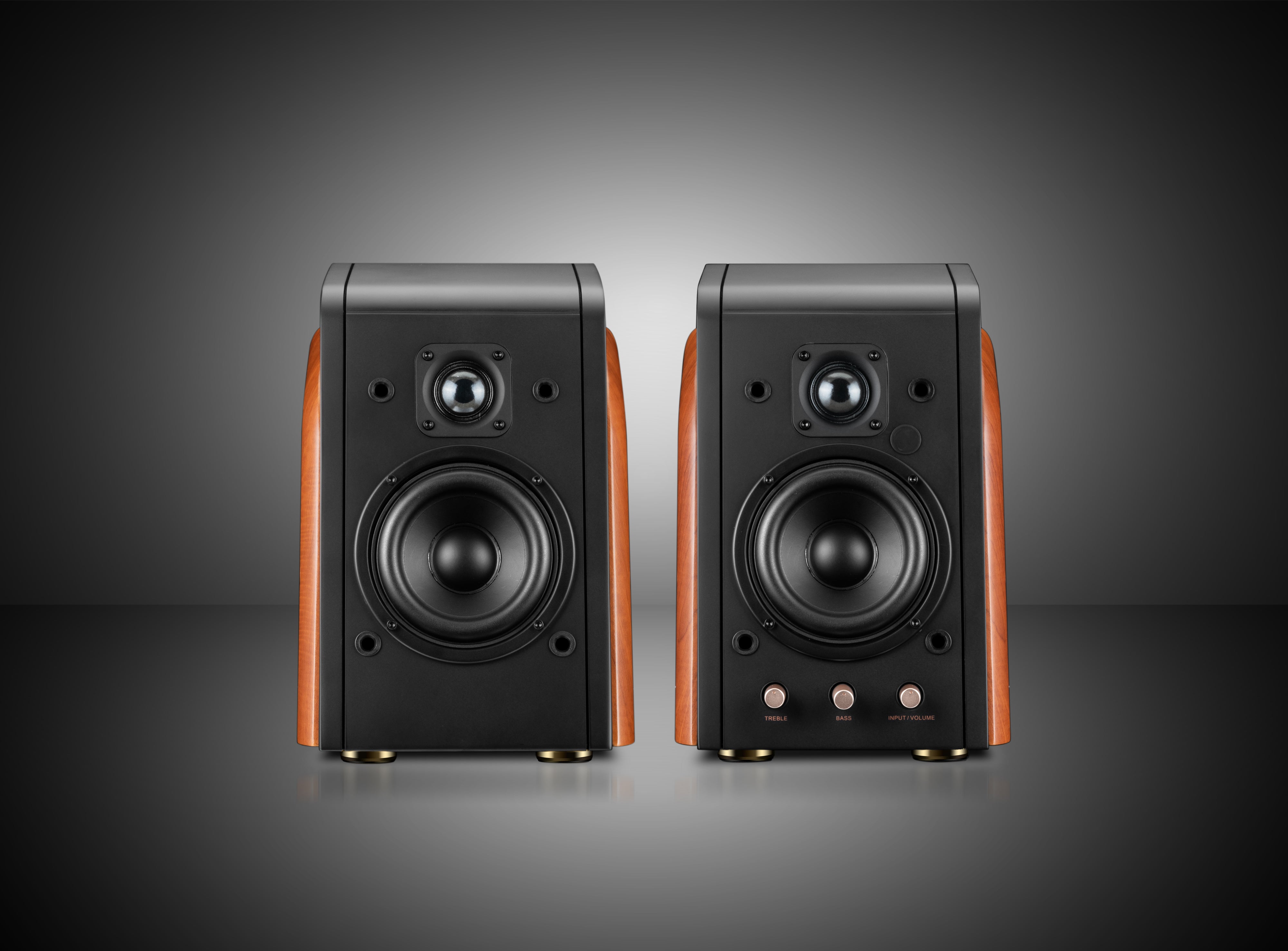 Hivi M100 Active Bluetooth Wi-Fi Bookshelf Speakers